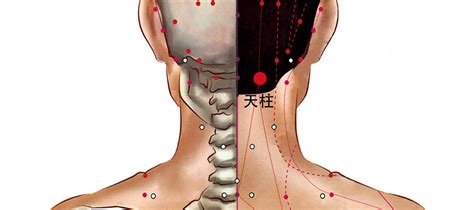 天柱穴氣結|天柱的準確位置圖和作用 按天柱有什麼功效